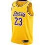 Men's LeBron James Los Angeles Lakers 2020/21 Swingman Jersey - Icon Edition