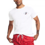 Men's Sustainably Crafted Back Graphic T-Shirts