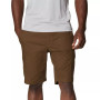 Men's Rapid Rivers Comfort Stretch Cargo Shorts