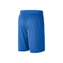 Men's Blue UCLA Bruins Performance Mesh Shorts