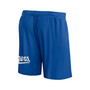 Men's Branded Royal Los Angeles Dodgers Clincher Mesh Shorts