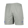 Men's Royal, Gray Kentucky Wildcats Performance Shorts