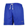 Men's Royal, Gray Kentucky Wildcats Performance Shorts