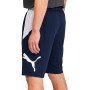 Men's 10" Moisture Wicking Training Cat Shorts