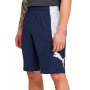 Men's 10" Moisture Wicking Training Cat Shorts