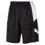 Men's 10" Moisture Wicking Training Cat Shorts