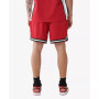 Men's Regular Arch Logo Mesh Shorts