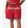 Men's Regular Arch Logo Mesh Shorts
