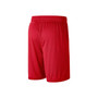 Men's Red, Black Georgia Bulldogs Performance Mesh Shorts