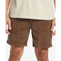 Quiksilver Men's Cordy Short Length Shorts