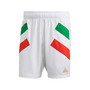 Men's White Italy National Team Football Icon Shorts