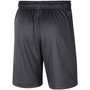 Men's Anthracite Michigan Wolverines Performance Shorts