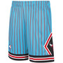 Men's Chicago Bulls Hardwood Classic Reload Swingman Shorts