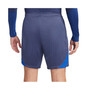 Men's Navy France National Team Strike Performance Shorts
