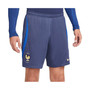 Men's Navy France National Team Strike Performance Shorts