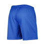 Men's Brand Blue, Gray UCLA Bruins Performance Shorts