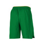 Men's Green Notre Dame Fighting Irish 2021 Sideline Woven Shorts