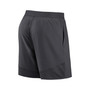 Men's Anthracite New York Giants Stretch Performance Shorts