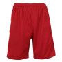 Men's Moisture Wicking Performance Mesh Shorts