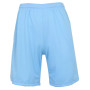 Men's Moisture Wicking Performance Mesh Shorts