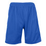 Men's Moisture Wicking Performance Mesh Shorts