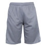 Men's Moisture Wicking Performance Mesh Shorts