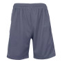 Men's Moisture Wicking Performance Mesh Shorts