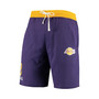 Men's Anthony Davis Purple Los Angeles Lakers Name and Number Shorts