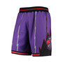 Men's Purple Toronto Raptors 1998/99 Hardwood Classics Authentic Shorts