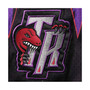 Men's Purple Toronto Raptors 1998/99 Hardwood Classics Authentic Shorts