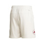 Men's Cream Louisville Cardinals Zero Dye AEROREADY Shorts