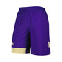 Men's Purple Washington Huskies Training Shorts