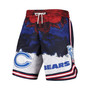 Men's Navy, Red Chicago Bears Americana Shorts