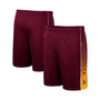 Men's Maroon Minnesota Golden Gophers Lazarus Shorts