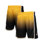 Men's  Gold, Black Los Angeles Lakers 2009/10 Hardwood Classics Fadeaway Reload 3.0 Swingman Shorts