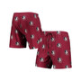 Men's Garnet Florida State Seminoles Flagship Allover Print Jam Shorts