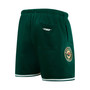 Men's Green Minnesota Wild Classic Mesh Shorts