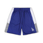 Men's Royal Los Angeles Dodgers Big and Tall Team Shorts