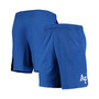 Men's Royal Air Force Falcons Hype Performance Shorts