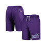 Men's Purple Charlotte Hornets Mike Mesh Basketball Shorts