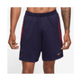 Men's Navy Paris Saint-Germain 2023/24 Strike Performance Shorts