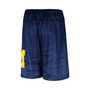 Men's Navy Michigan Wolverines Broski Shorts