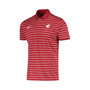 Men's Crimson Washington State Cougars Victory Stripe Performance Polo Shirt