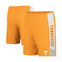Men's Tennessee Orange Tennessee Volunteers Wonkavision Shorts