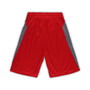 Men's Red Georgia Bulldogs Big and Tall Textured Shorts