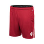 Men's Crimson Indiana Hoosiers Laws of Physics Shorts