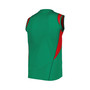Men's Green Mexico National Team Sleeveless Training jersey