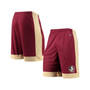 Men's Garnet Florida State Seminoles Outline Shorts