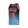 Men's Dennis Rodman Black, Light Blue Chicago Bulls 1995/96 Hardwood Classics Fadeaway Swingman Player Jersey
