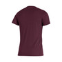 Men's Maroon Texas A&M Aggies Sideline Locker Heritage T-shirt